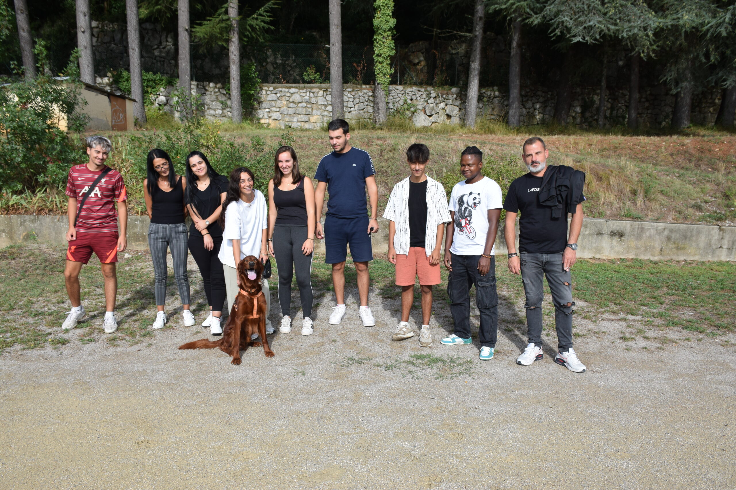 banner