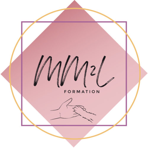 MM2L Formation centre de formation médico-social
